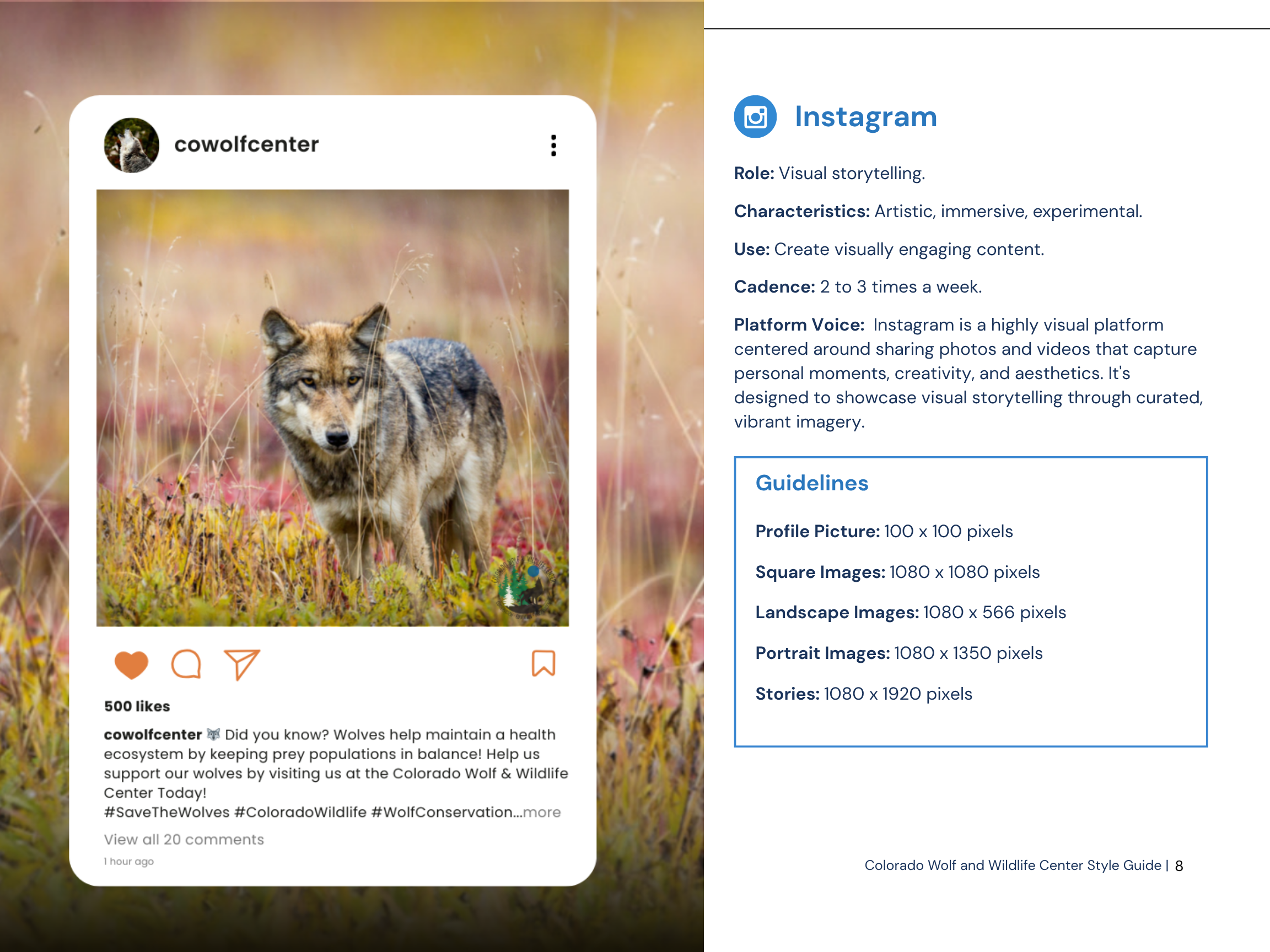 CWWC Instagram Template